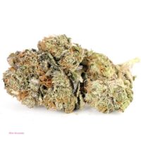 buy Rockstar strain