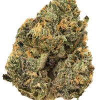 buy sherbet cake strain