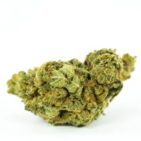 buy CANNALOPE STRAIN ONLINE