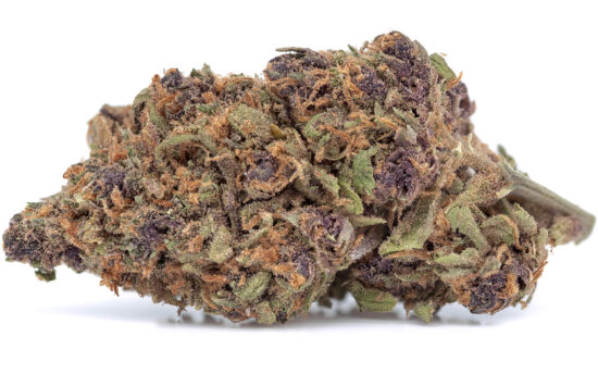 buy forbidden fruit strain