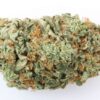 buy g13 strain