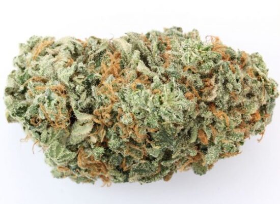 buy g13 strain