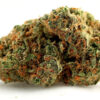 buy skunk og strain online