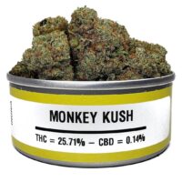 buy monkey kush cans