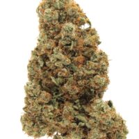 buy Afghani strain online