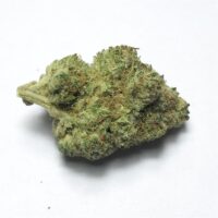 buy star killer og strain