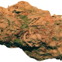 Reggie weed strain online