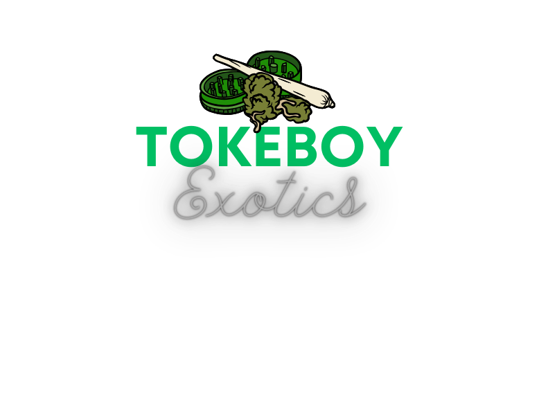 TOKEBOY EXOTICS®